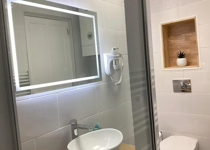 Somea 110m2 Climatisé, Parking, Proche Sanctuaire Appartement Lourdes