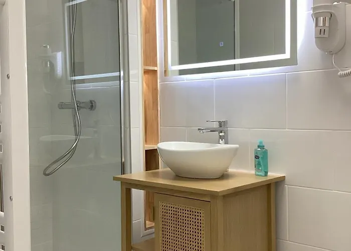 Somea 110m2 Climatisé, Parking, Proche Sanctuaire Lourdes